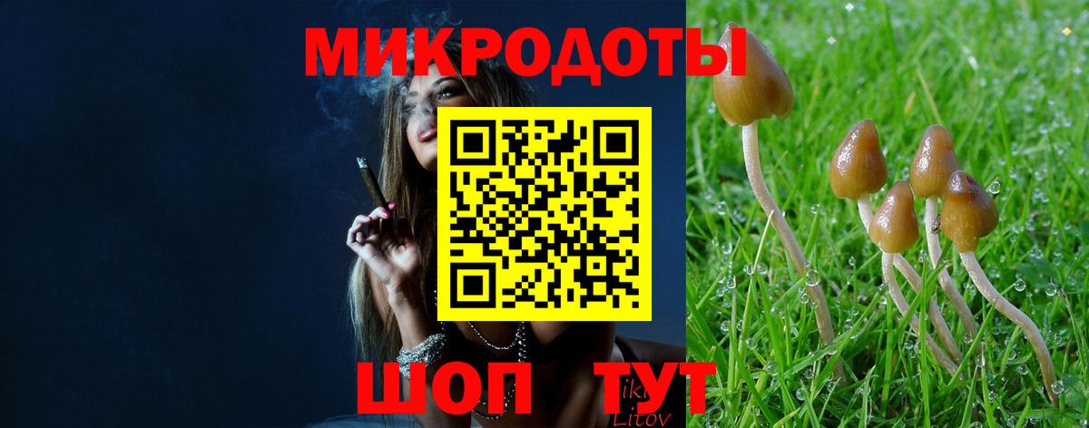 Галлюциногенные грибы Psilocybine cubensis  Вход с VPN  Псилоцибиновые грибы мухоморы  Тында 