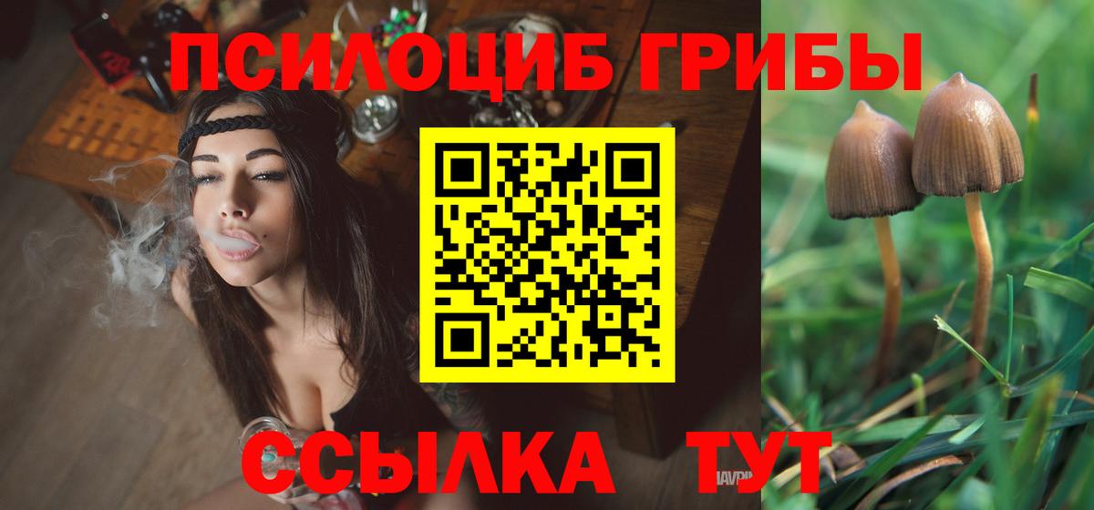 Галлюциногенные грибы Magic Shrooms Тында
